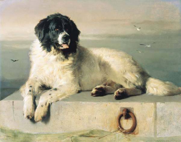 A Distinguished Member of the Humane Society, Sir E.Landseer